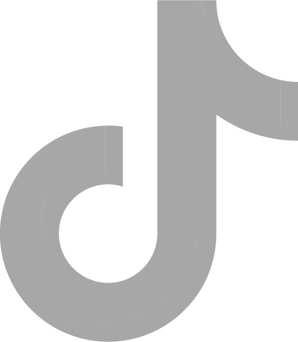 Tiktok icon